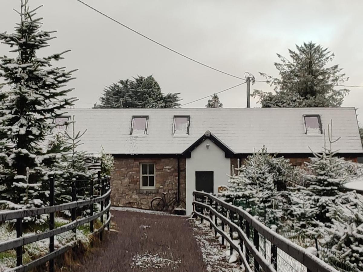 トラリー The Old House At Belfieldヴィラ エクステリア 写真