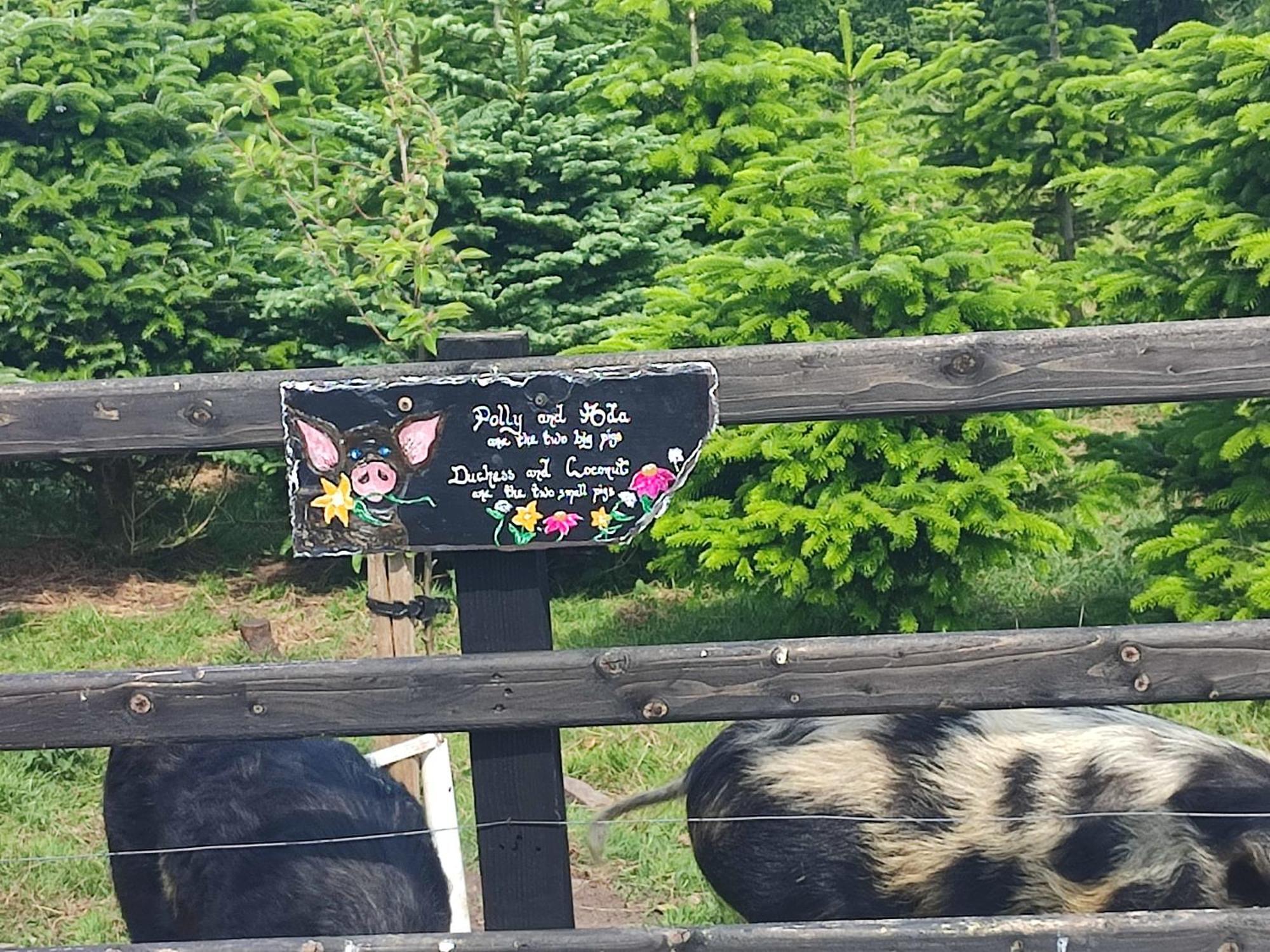 トラリー The Old House At Belfieldヴィラ エクステリア 写真